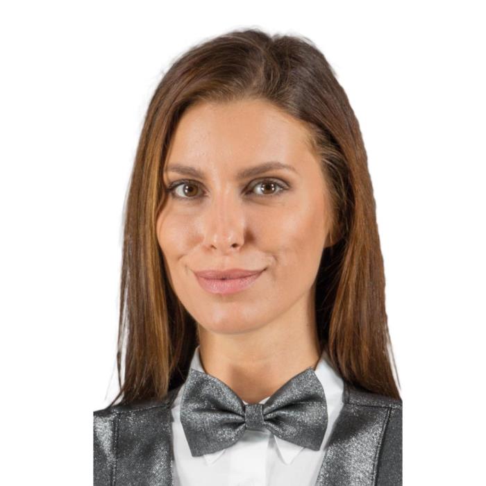 Papillon unisex lurex silver